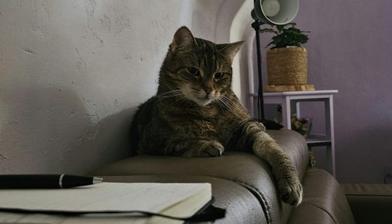 Oliver