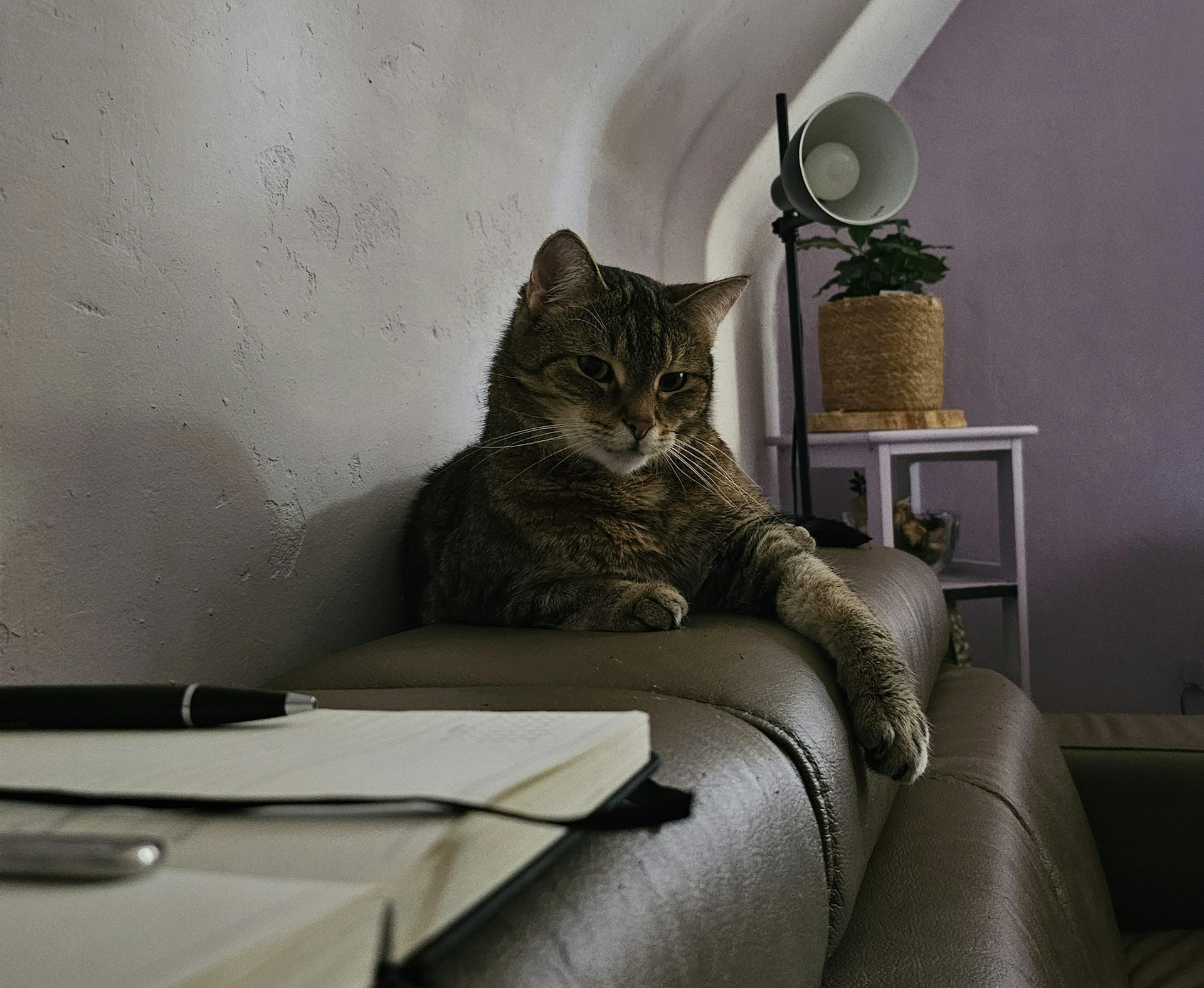 Oliver