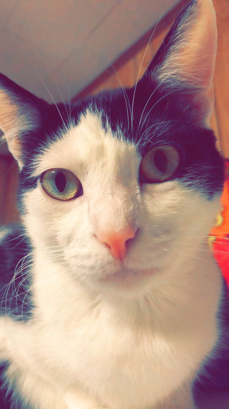 Luna